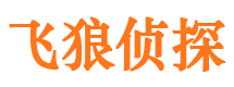 大余市婚外情调查